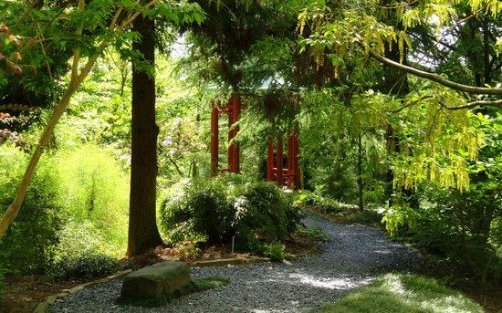 Arboretum Nacional de Estados Unidos